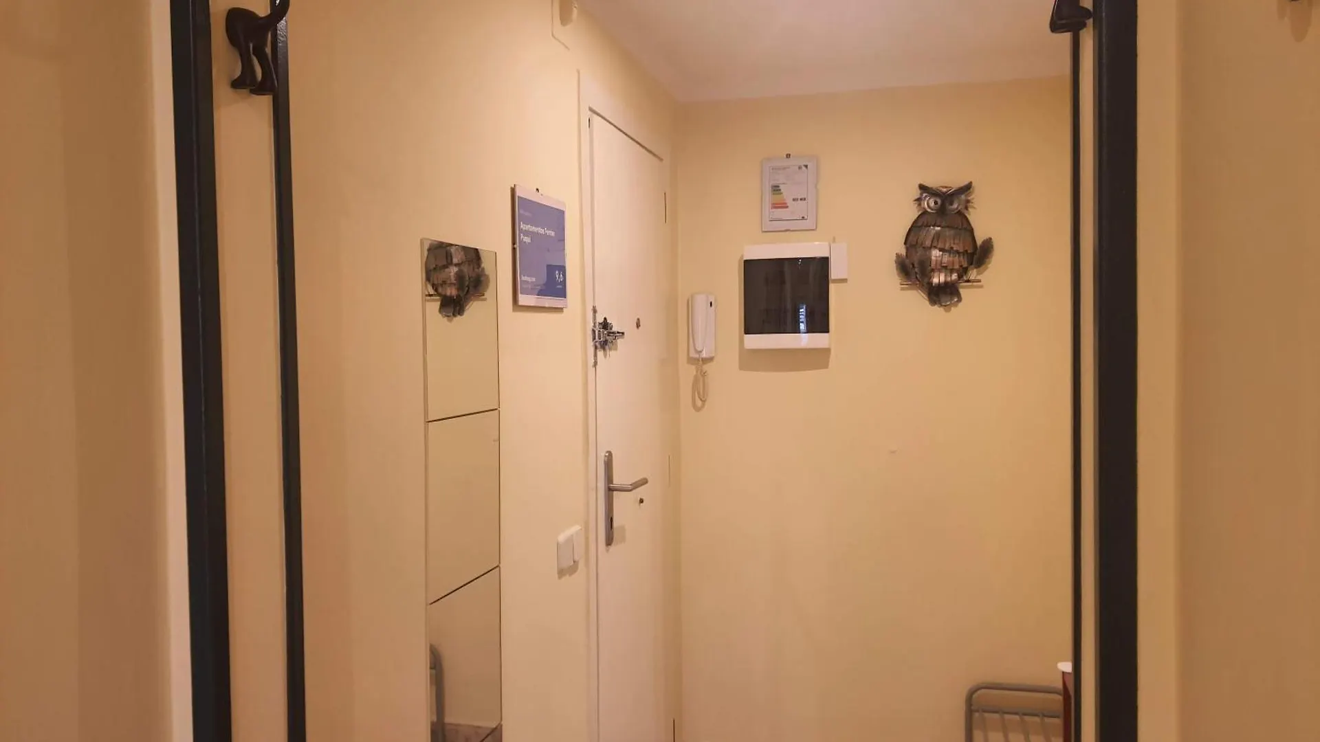 Apartamentos Ferran Paqui Roses Spain